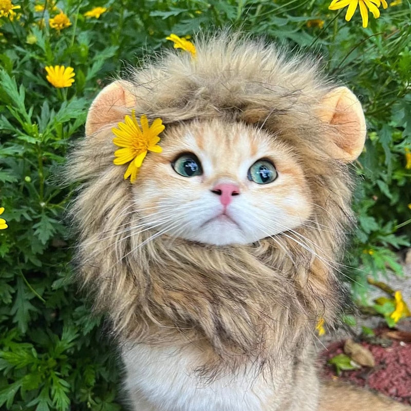 Cute Lion Mane Pet Costume