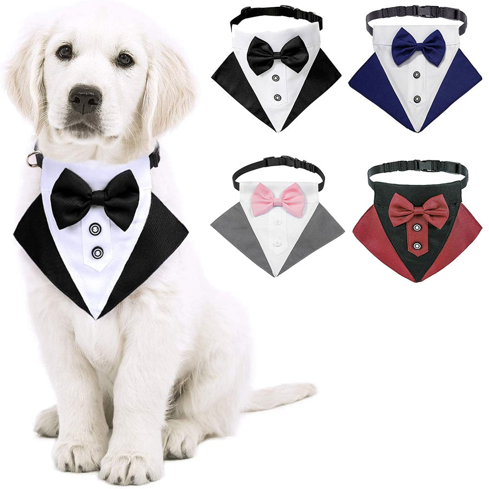 Pet Tuxedo Costume - Formal Attire for Your Special Moments