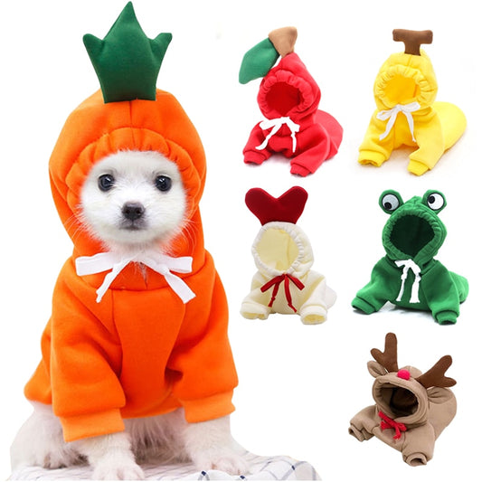 Cute Fruit Dog Costume