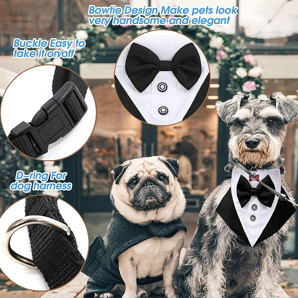 Pet Tuxedo Costume - Formal Attire for Your Special Moments