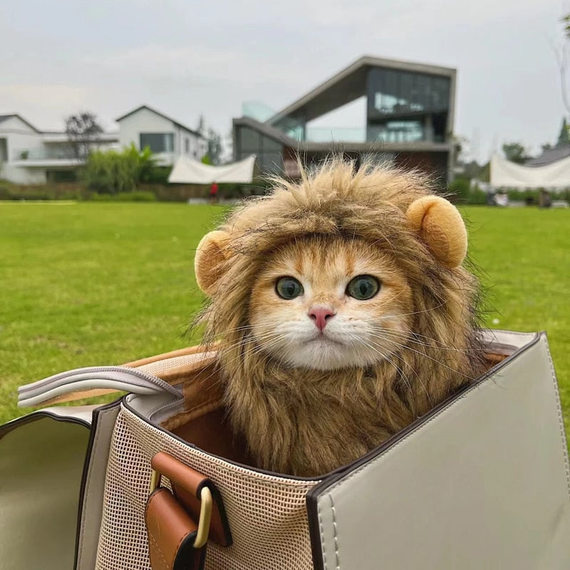 Cute Lion Mane Pet Costume