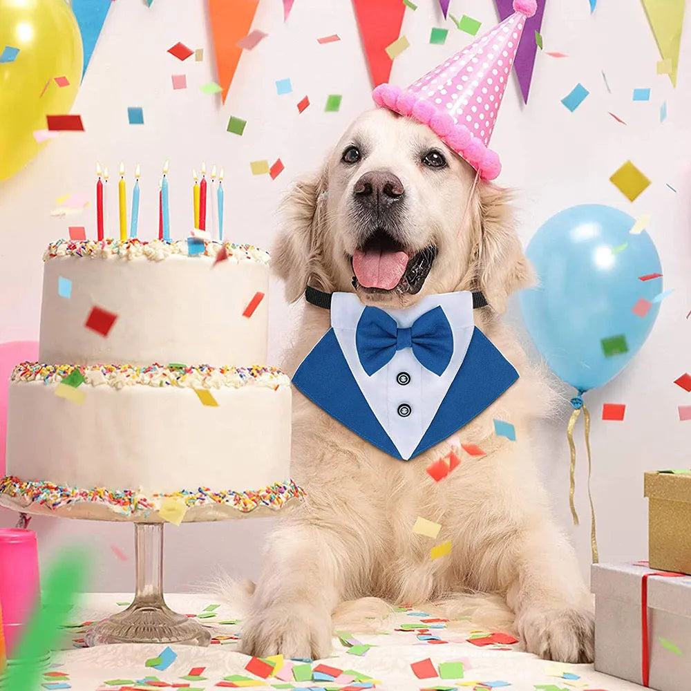 Pet Tuxedo Costume - Formal Attire for Your Special Moments