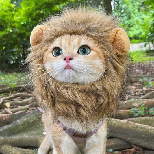 Cute Lion Mane Pet Costume