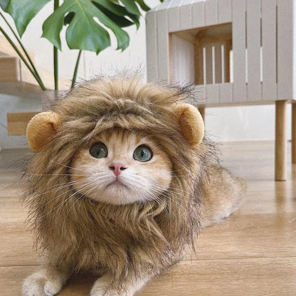 Cute Lion Mane Cat Costume