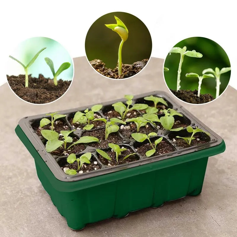 Mini Greenhouse Container