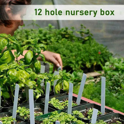 Mini Greenhouse Container