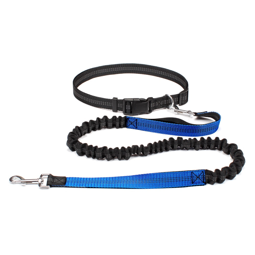 Free Hands Dog Leash for Pet