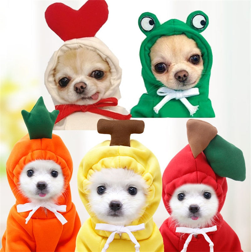 Cute Fruit Dog Costume
