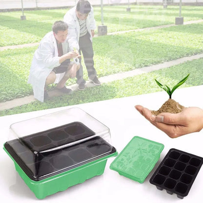 Mini Greenhouse Container