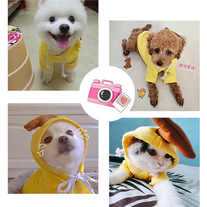 Cute Fruit Dog Costume