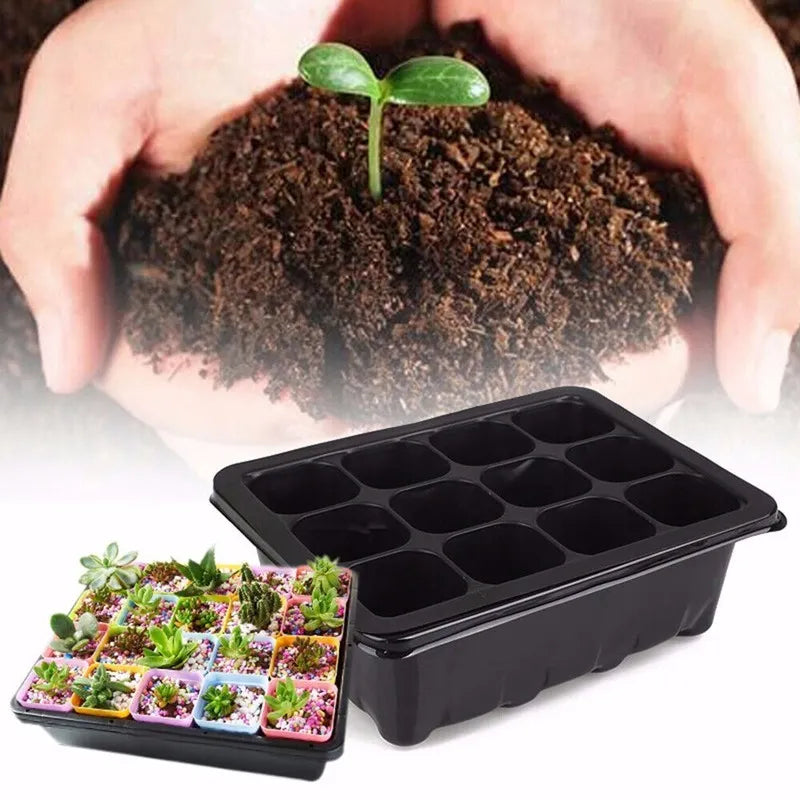 Mini Greenhouse Container