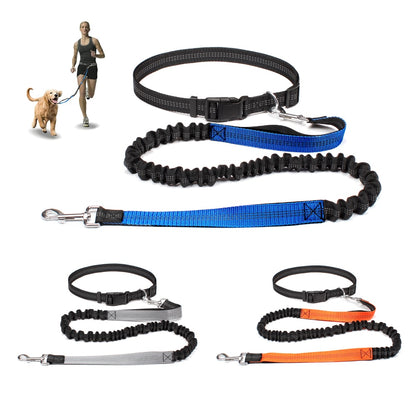 Free Hands Dog Leash for Pet